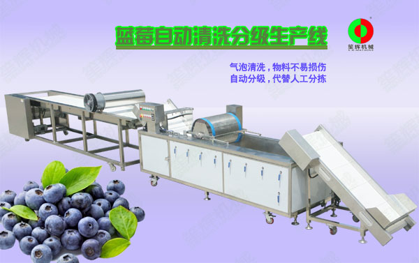 万秀蓝莓/蔬果全自动清洗分级生产线